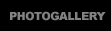 PHOTOGALLERY